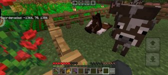 Screenshot_20250525_034011_com_mojang_minecraftpe_MainActivity.jpeg